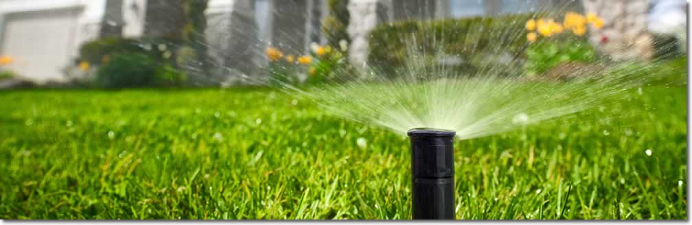 professional irrigation installation